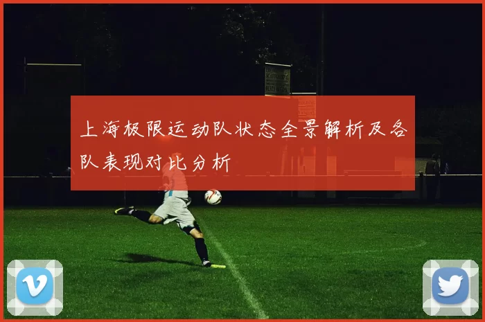 上海极限运动队状态全景解析及各队表现对比分析