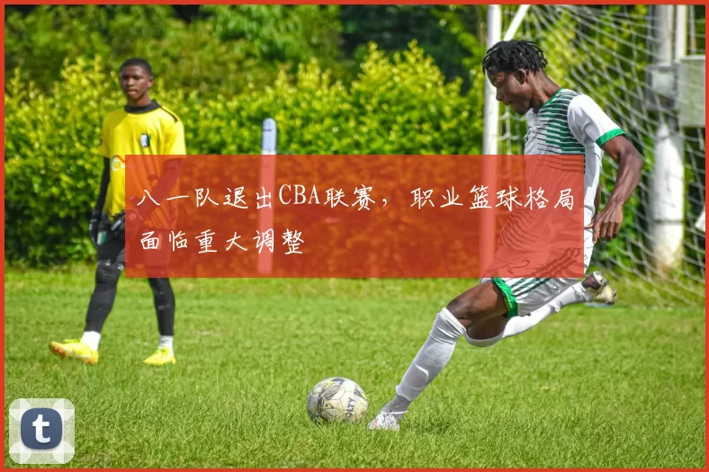 八一队退出CBA联赛,职业篮球格局面临重大调整