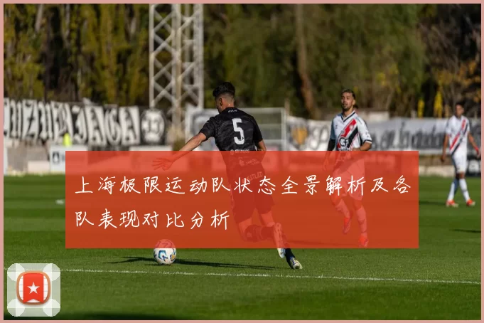 上海极限运动队状态全景解析及各队表现对比分析