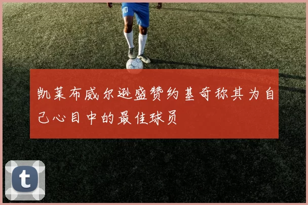 凯莱布威尔逊盛赞约基奇称其为自己心目中的最佳球员