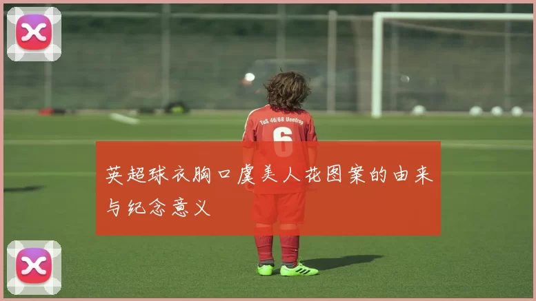 英超球衣胸口虞美人花图案的由来与纪念意义