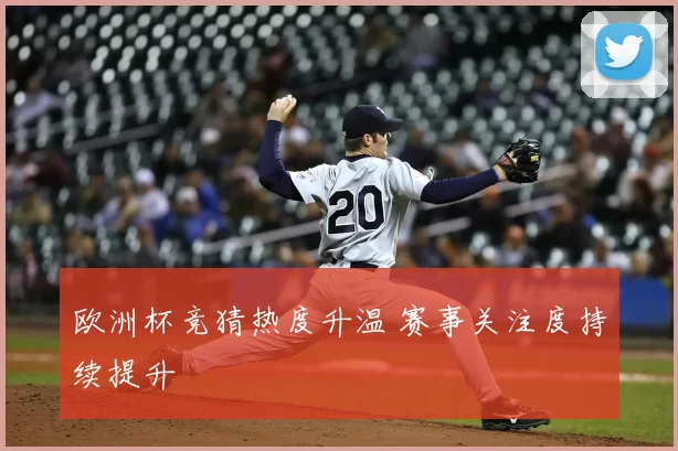 欧洲杯竞猜热度升温 赛事关注度持续提升
