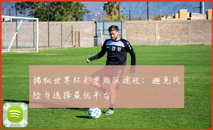 揭秘世界杯彩票购买途径:避免风险与选择最优平台