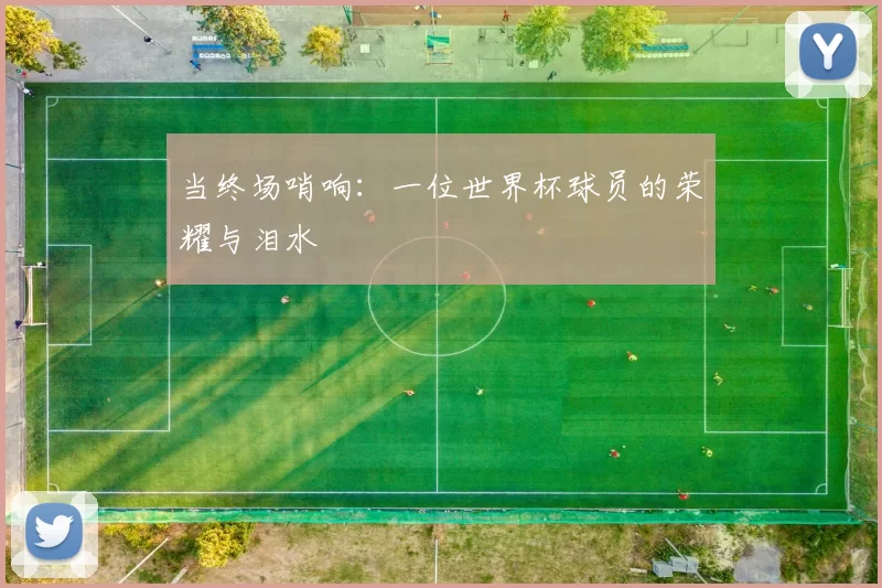当终场哨响:一位世界杯球员的荣耀与泪水