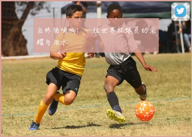 当终场哨响:一位世界杯球员的荣耀与泪水