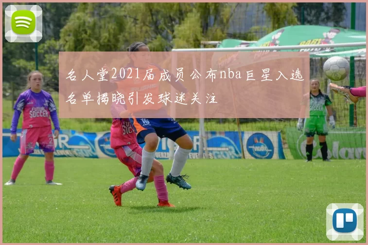名人堂2021届成员公布nba巨星入选名单揭晓引发球迷关注