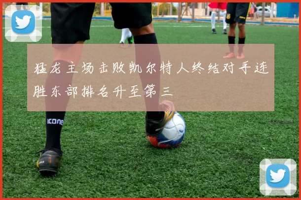 猛龙主场击败凯尔特人终结对手连胜东部排名升至第三