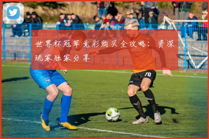 世界杯冠军竞彩购买全攻略:资深玩家独家分享