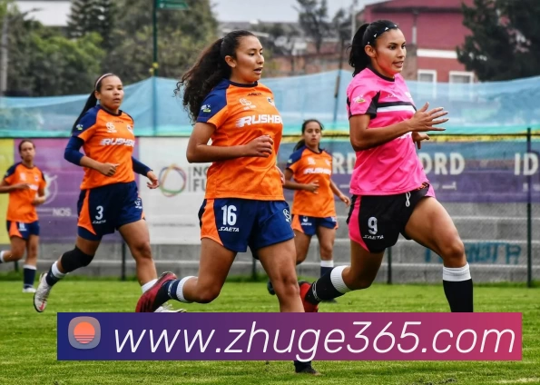 kaiyun平台生态图